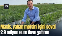 Maxis, yaban mersini işini sevdi, 2.9 milyon euro ilave yatırım yapacak