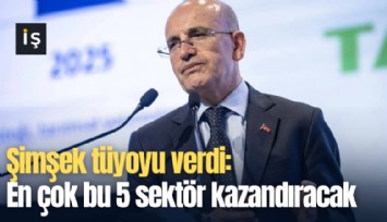 Şimşek tüyoyu verdi: En çok bu 5 sektör kazandıracak