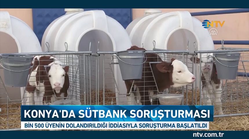 Çiftlik Bank'a benzer bir sistem daha ortaya çıktı: Sütbank